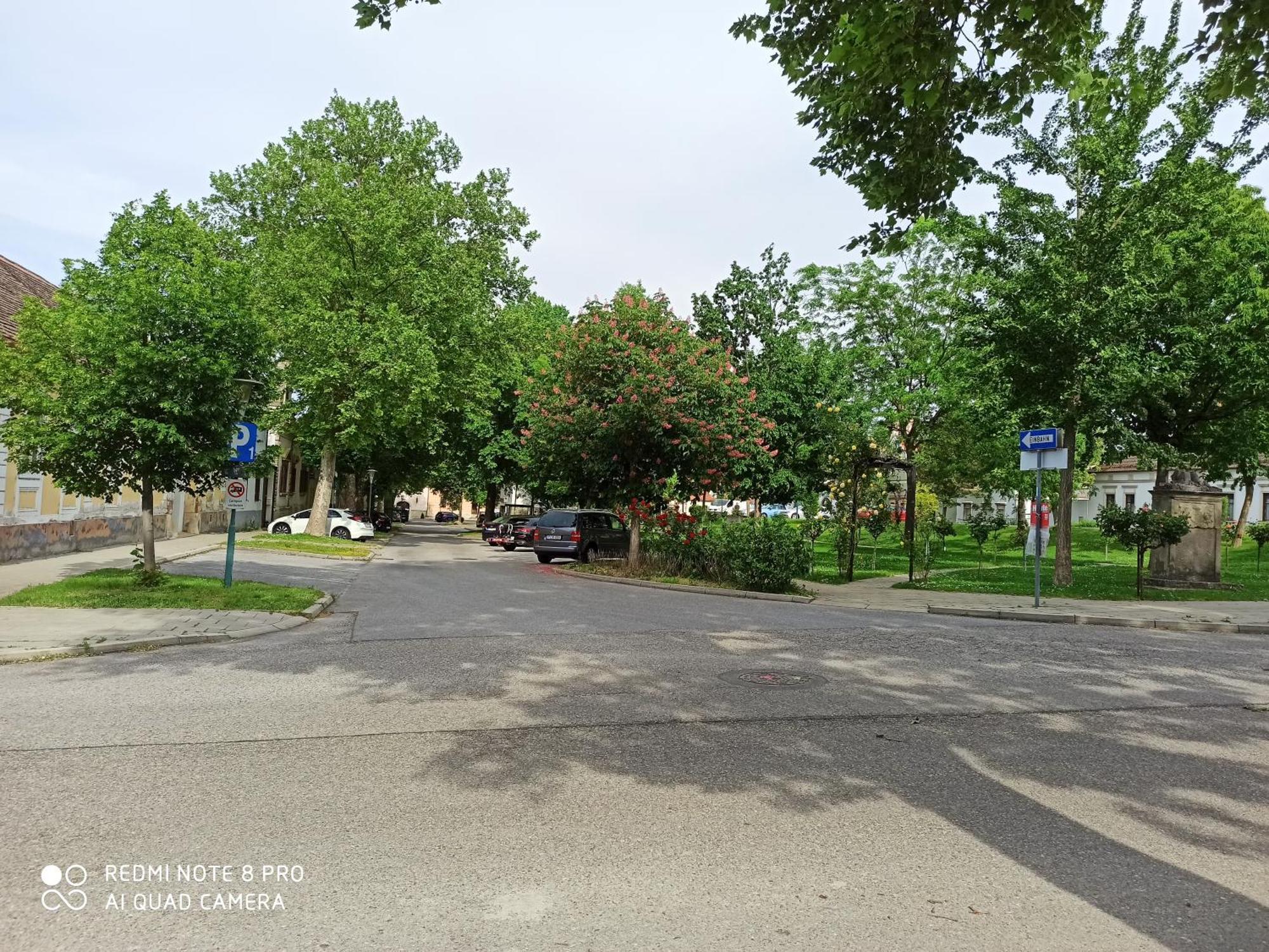 Alte Muehle Apartment รุสท์ ภายนอก รูปภาพ